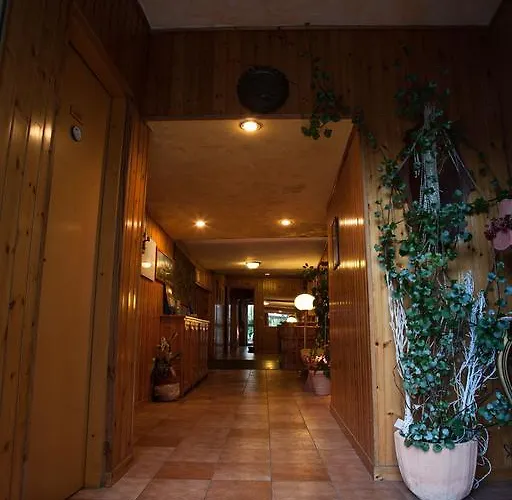 Hotel Aurora 2*